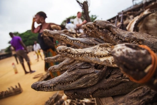 Lomé: Akodessewa-Fetischmarkt – Gouverneurspalast – Messertanz