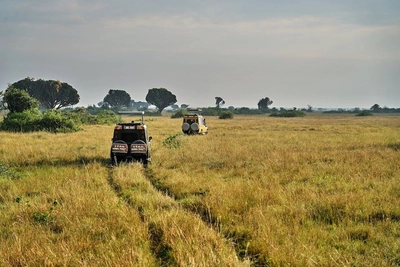 Auf Wandersafari in Uganda unterwegs