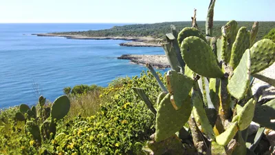 Meerblick bei Gallipoli