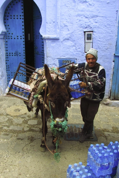 Wasserlieferant mit Esel in Chefchaouen