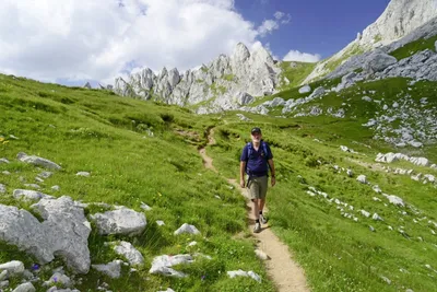 Bergpfad im Durmitor Gebirge