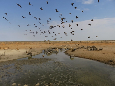 Wasserloch im Etosha-Nationalpark