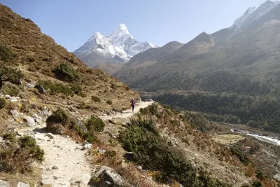 Wanderpfad und Ama Dablam