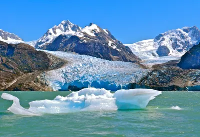 Lago Leones