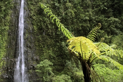 Wasserfall - La Réunion