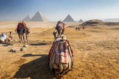 Kamelkarawane vor den Pyramiden von Gizeh