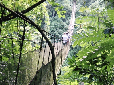 Los Campesinos bridge 2