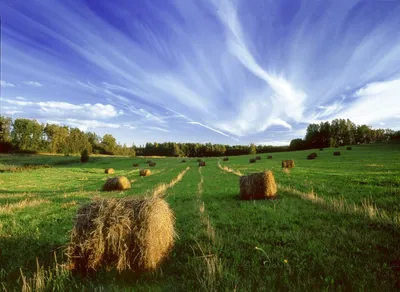 Naturidylle in Lettland