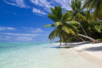 Paradies weißer Sand klares Wasser Kokosnuss Madagaskar