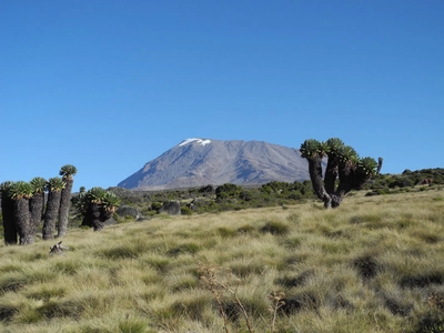 Wanderung Kilimanjaro von der Harombo Hütte