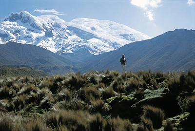 Chimborazo vom Abraspungo-Tal gesehen