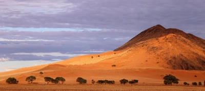 Greenfire Desert Camp Landschaft