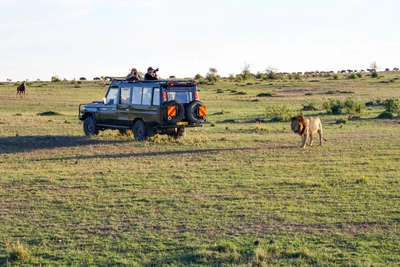 Tierbeobachtungen in der Masai Mara