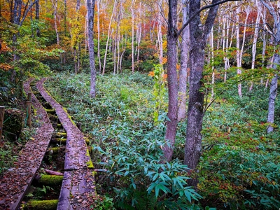 Wanderwege am Mount Yakebitai