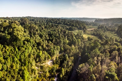 Phnom Kulen Mountains