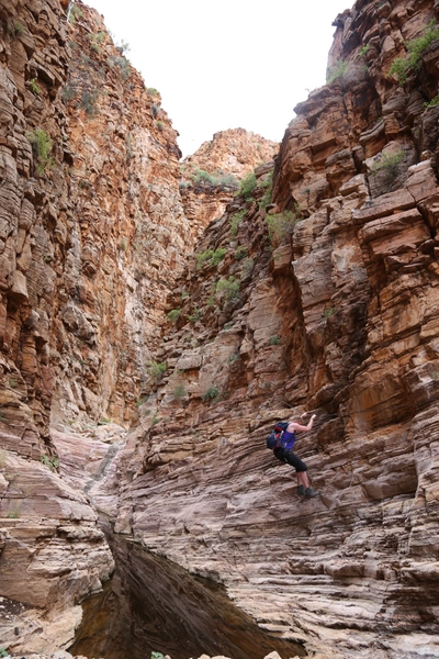 Namibia-Olive-Trail