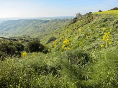 Landschaft Nordzypern