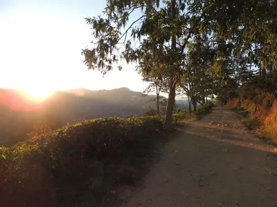 Weg zum Little Adams Peak