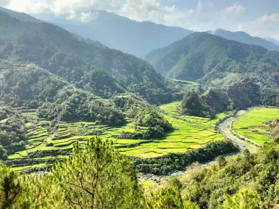 Banaue_Batad Reisfeld