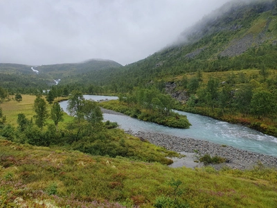 Fluss im Jotunheimen NP