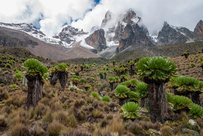 Mount Kenya