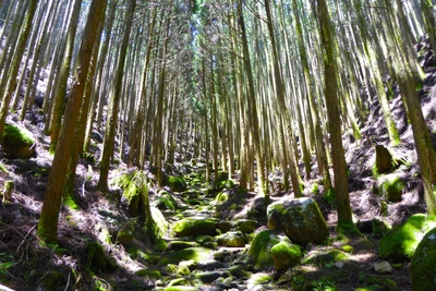 Kumano-Kodo-Pilgerweg