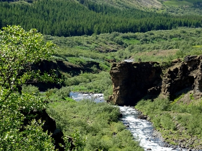 Botsna-Glymur