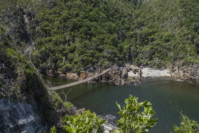 Suedafrika-Tsitsikamma-Mouth-Trail-Suspension-Bridge