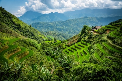 Reisterrassen Ha Giang Province