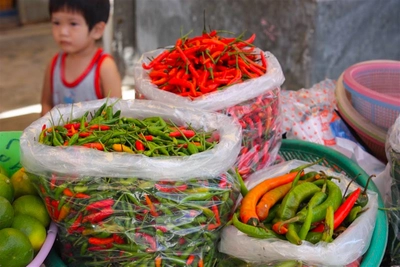 Thailand_Thai_Market_Sukothai