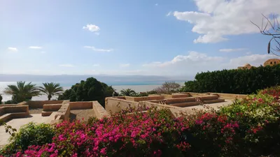 Blick auf das Tote Meer