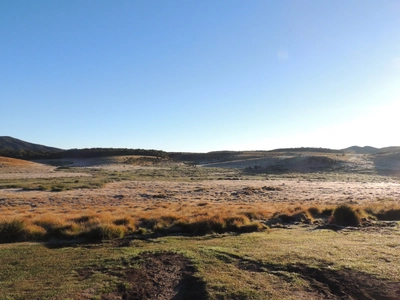 Morgendlicher Frost im Horton-Plains-Nationalpark