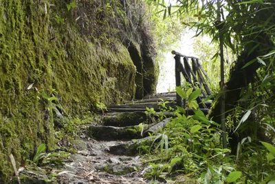 durch Steintreppe auf Inkatrail