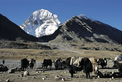 Der heilige Kailash