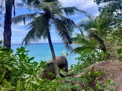 Ausblick Mahé