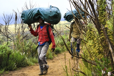 Traeger auf dem Weg zum Kilimanjaro