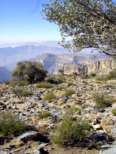 Jebel_ShamsJebel Shams_2