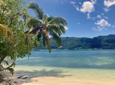 Seychellen Cerf Island