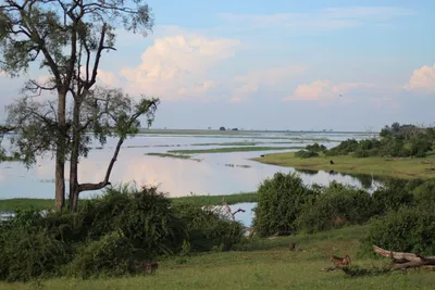 Botswana-Chobe-Riverfront-Landschaft