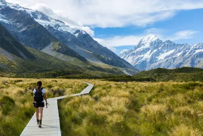 Auf dem Hooker Valley Track