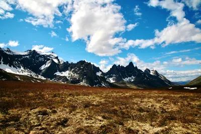 Tombstone Range