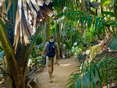 Valleé de Mai, Praslin