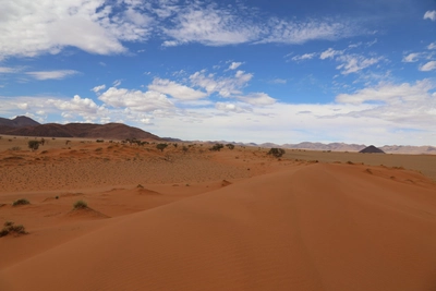 Greenfire Desert Camp