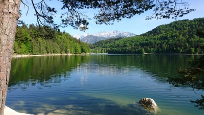 Längsee