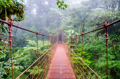 Costa Rica - Brücke im Regenwald