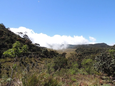 Horton-Plains-Nationalpark