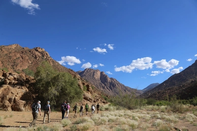 Namibia-white-lady-Gruppe-antlang-der-Route