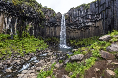 Svartifoss