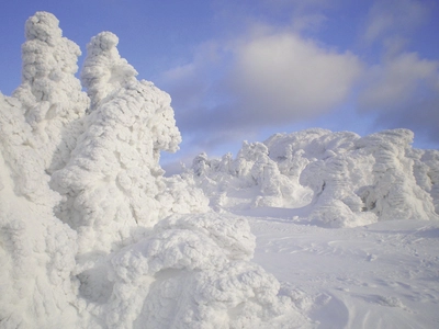 Schneeschuhgehen Baerischer Wald Eisbaeume 2