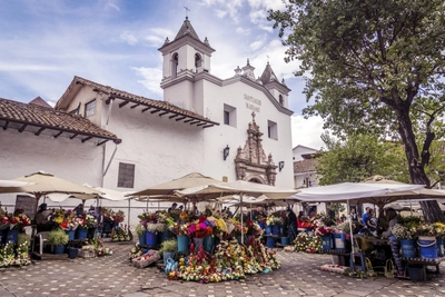 Blumen Markt Cuenca